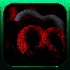 甜品点心的1000种做法 V1.9