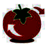 大番茄一键重装系统v2.1.6.413