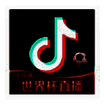 抖音&middot;世界杯电脑版v1.5.1