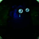 植物大战僵尸寒冰版 最新版 V0.4