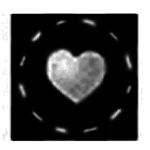 Stepok Recompositv5.1