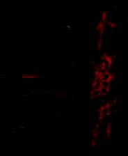 《不審者通報しました》游戏库