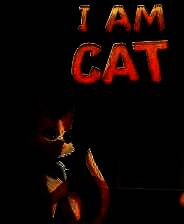 《我是猫》电脑版