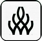 伴我考教师证 V3.1.3