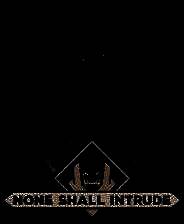 《不容进犯》 v1.0.0103升级档+未加密补丁[TENOKE]