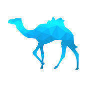 去哪儿汽车票 V2.1.7