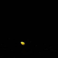 蜘蛛殖民地模拟器 V1.5