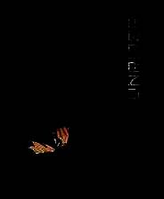 《太阳骑士4：指挥官的回归》 中文免安装版