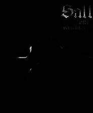 《盐和避难所》电脑版