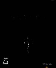 《上古卷轴5：天际》典藏版