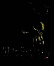 《狂野前线》 英文镜像版