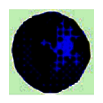 佳音超市精灵v1.05