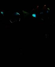 《幻想国塔防》3DM完整英文硬盘版