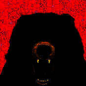 家有大灰熊 V1.1.11