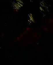 《夏之扉》简体中文免安装版