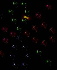 《梦奇地的故事》英文免安装版