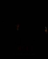 《战争召唤——地狱之门:东线》简体中文免安装版