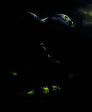 《魔戒：最后之日》不完全汉化硬盘版