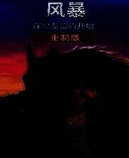 《风暴:深厚友谊的开始 重制版》官方版