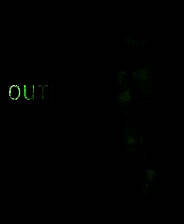 《逃生：告密者》简体中文硬盘版