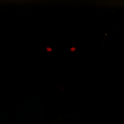 恐怖奶奶多人联机版 V0.1