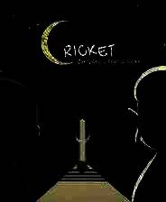 《Cricket: Jae's Really Peculiar Game》Demo试玩版