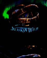 《神秘传说3：阿拉斯加之旅》英文硬盘版