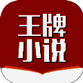 王牌小说 V3.4.6