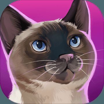 猫咪宾馆 V2.6