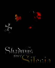 《1428：西里西亚上空的阴影》 v1.1.36升级档+未加密补丁[I_KnoW]