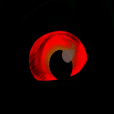 诅咒之岛 开科技版 V0.9.8.9.9