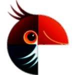 MovaviPhotoEditorv5.8.0