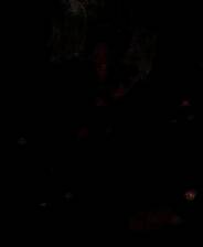 《囍》 v1.17升级档+未加密补丁[TENOKE]