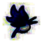 Creature Animationv3.61