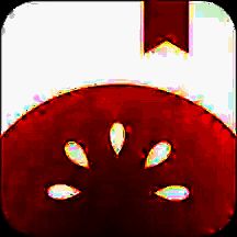 番茄小说 手表版apk V3.4.5.32