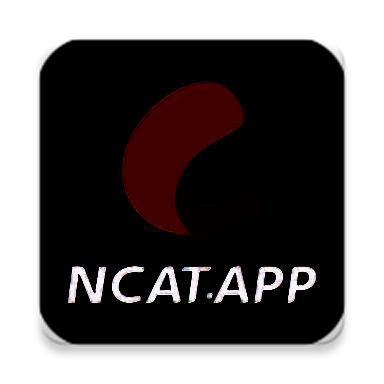 网飞猫 ncatapp官网版 V1.9