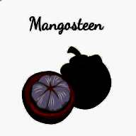 山竹社区 旧版 V3.4.1