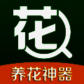 花百科 V1.2.3