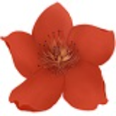 小红花直播音效助手官网版