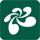 云屋小班课mac版 v3.0.20